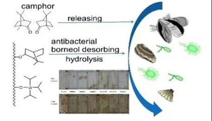 國家海洋設施養殖工程技術研究中心碩士研究生招生 聚焦海水養殖技術研發
